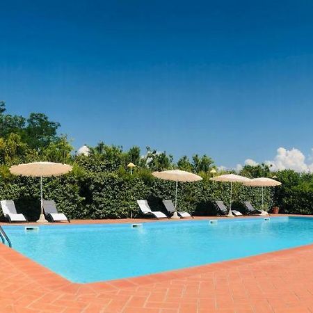 Villa Lavinia B&B Montescudaio Kültér fotó