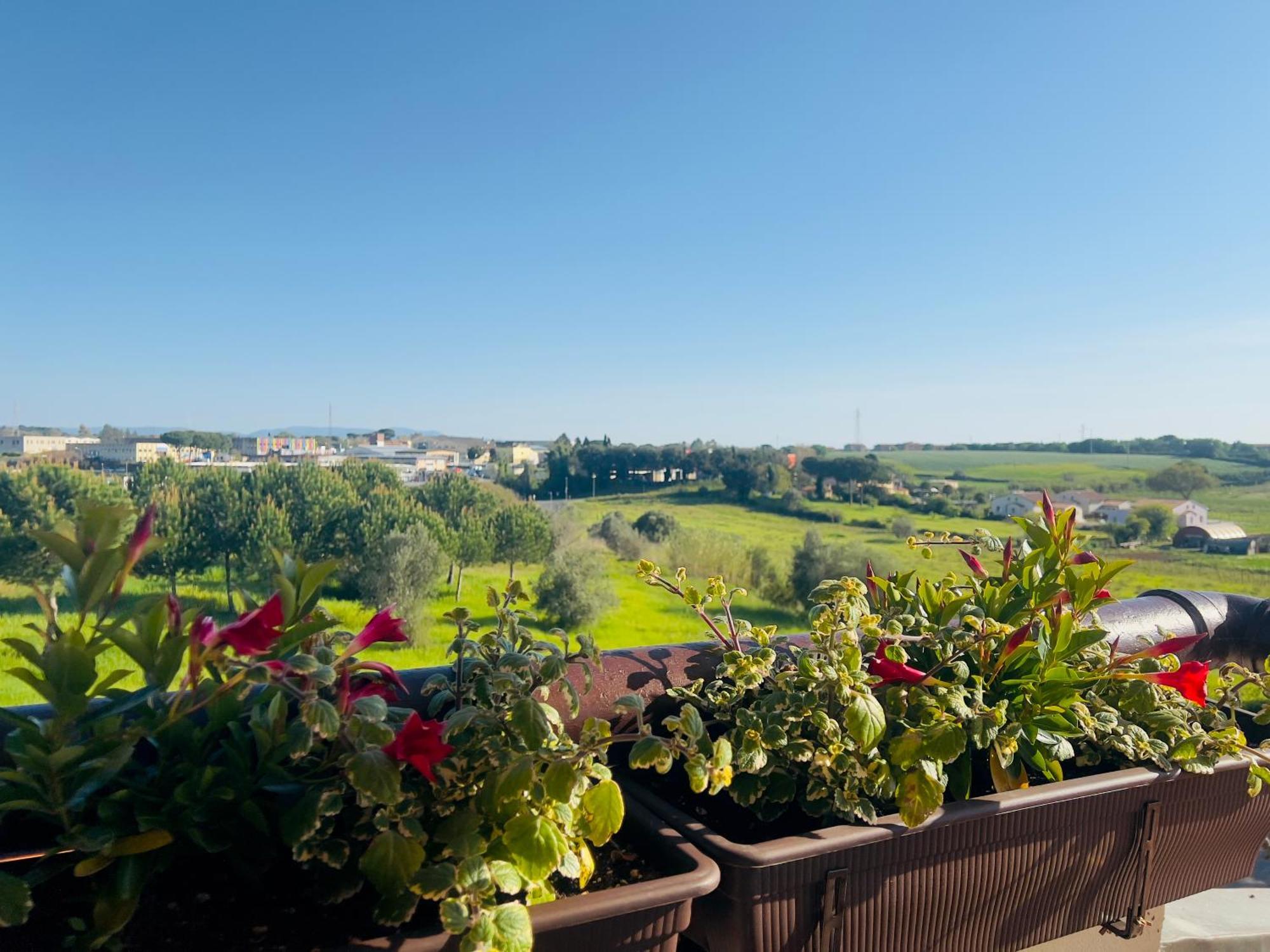 Villa Lavinia B&B Montescudaio Kültér fotó