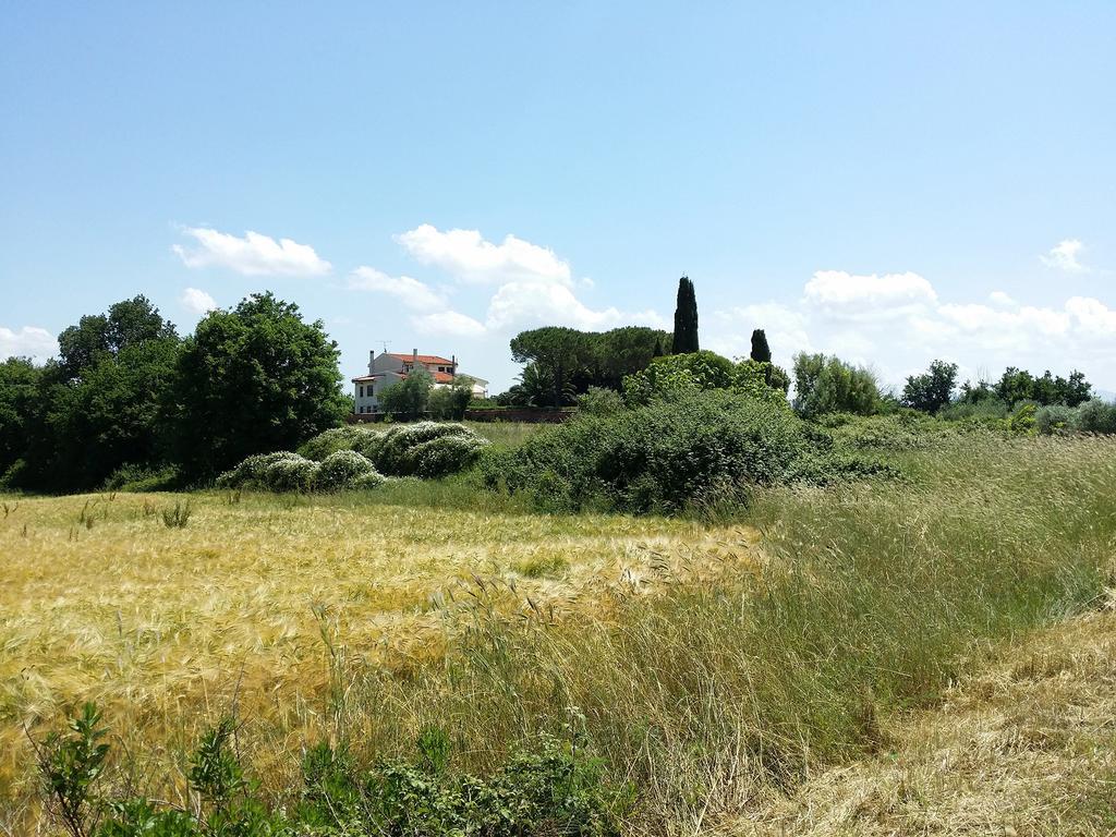 Villa Lavinia B&B Montescudaio Kültér fotó