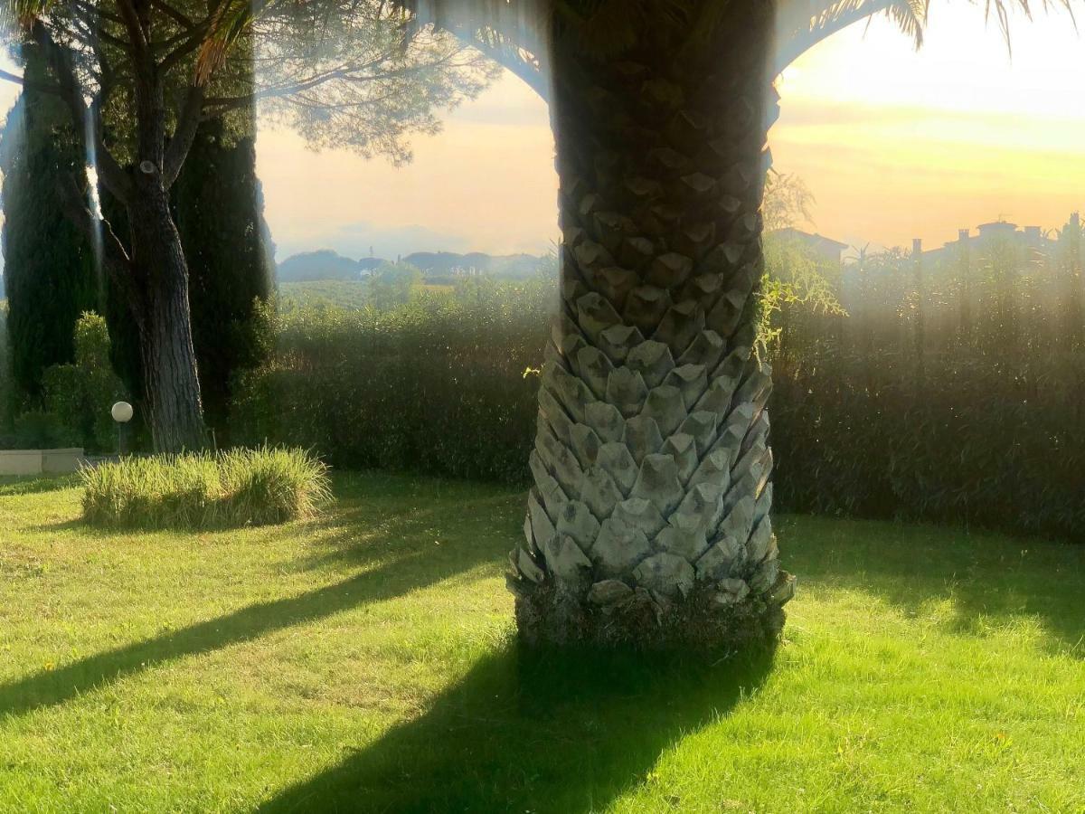 Villa Lavinia B&B Montescudaio Kültér fotó